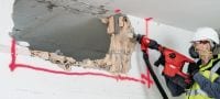 TE-YX FM Tasataltat Itsestään teroittuvat SDS Max (TE-Y) -tasatalttaterät betonin ja muurauksen tarkkaan purkamiseen Sovellukset 1