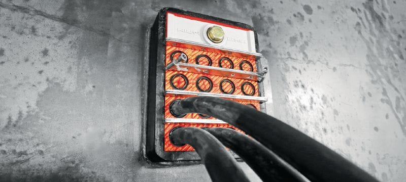 CFS-T Ankkurilevysarjat Ankkurilevysarjat kaapelimoduulien varmistamiseen läpivientikehikoissa ja painetiiviyden lisäämiseen Sovellukset 1